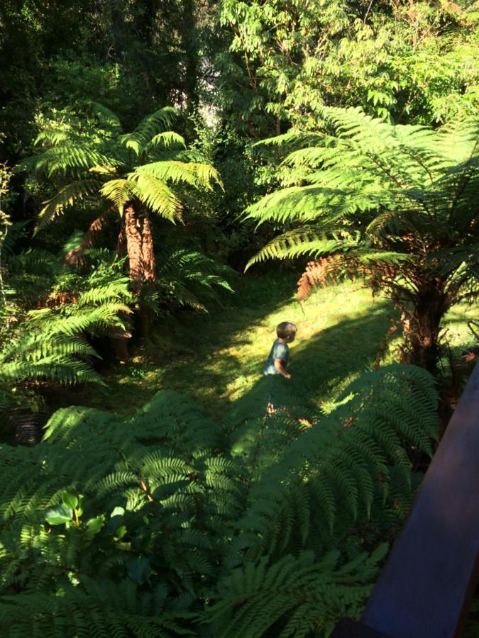 The Ferns Hideaway Villa Franz Josef Eksteriør bilde